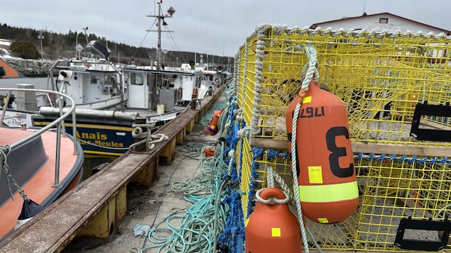 Au quai de l’Anse-à-Beaufils, les casiers s’empilent  par centaines