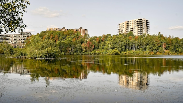 Ce qu’ils ont dit : les priorités des candidats dans Sherbrooke