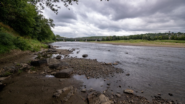 Campaign-style cleanup of the Saint-François River |  Elections Quebec 2022