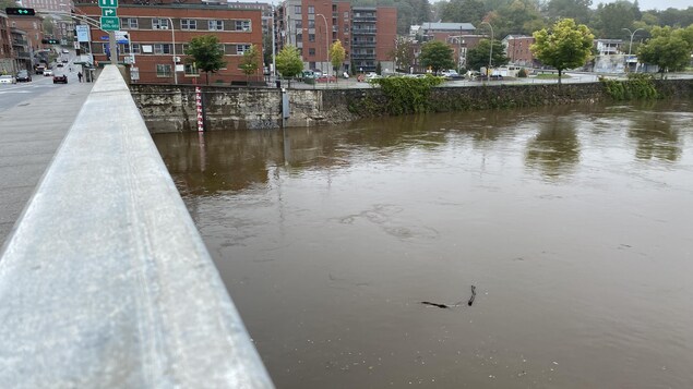 La rivière Saint-François sous surveillance à Sherbrooke