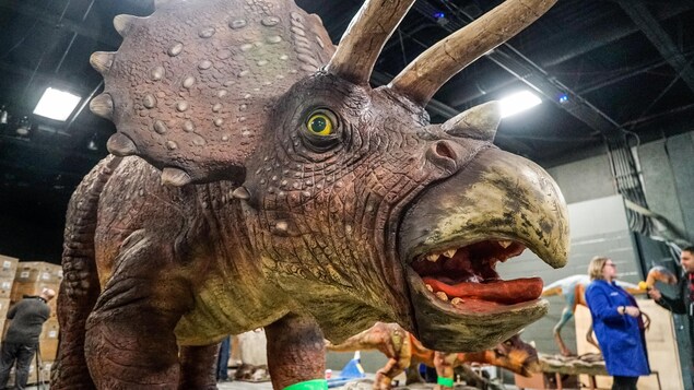 Une réplique de dinosaures est en train d'être installé dans une salle d'exposition de Science Nord.