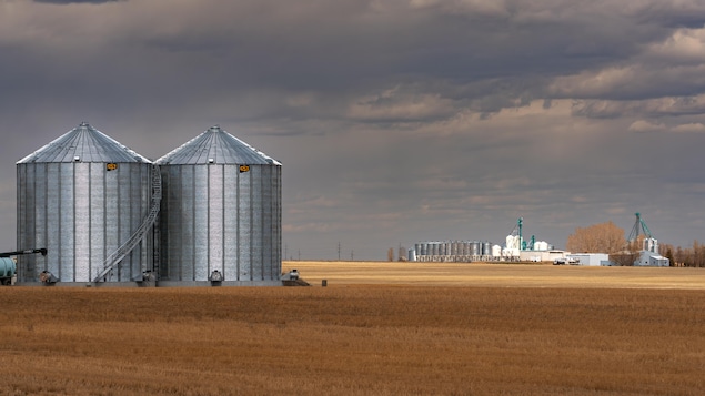 Champ doré, silos à grains et ciel orageux. Avril 2026.