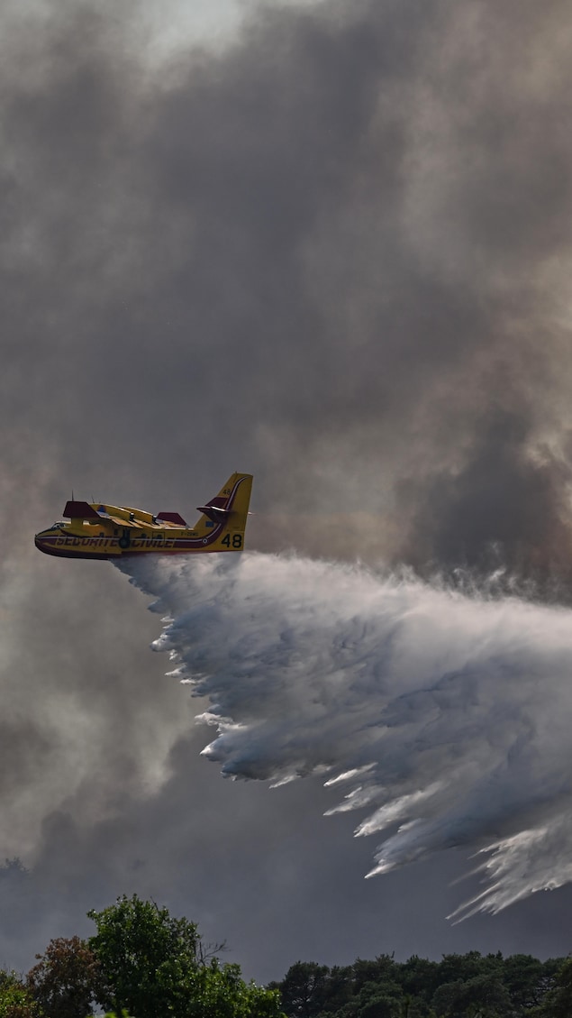 Un avion bombardier d'eau s'attaque aux feux de forêt dans la région de Fontainebleau en France le 13 juillet 2026.