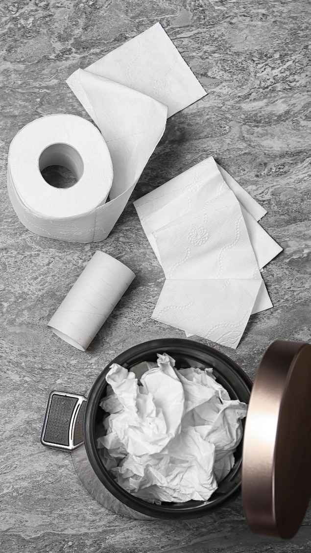 Une poubelle et du papier de toilette.