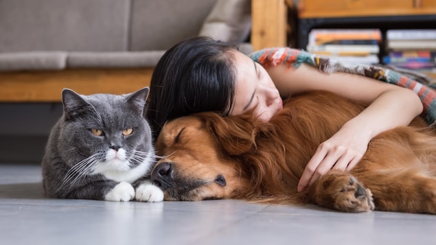 Une femme dort sur un chien à côté d'un chat.