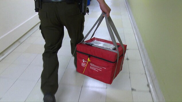 Une personne transporte une boîte contenant un organe à transplanter.