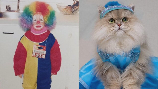 D'un côté, il y a une photo de Marie-Lyne Joncas lorsqu'elle était enfant. Elle est déguisée en clown et de l'autre côté, un chat déguisé en princesse.