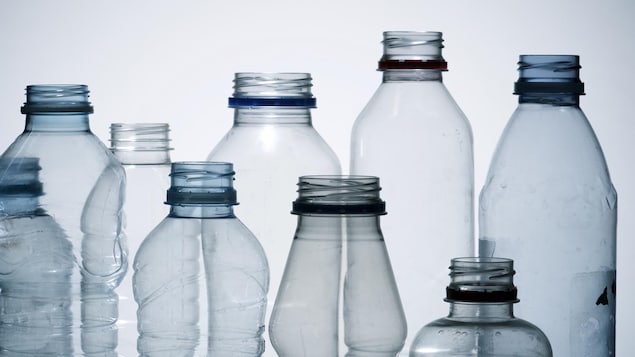 Des bouteilles de plastique sont alignées les unes à côté des autres.