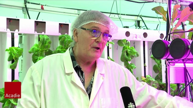 Faute de main-d’œuvre, il vend son entreprise de la Péninsule acadienne