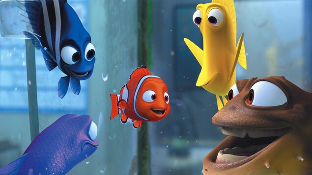 Nemo dans un aquarium avec d'autres poissons Nemo dans un aquarium avec d'autres poissons