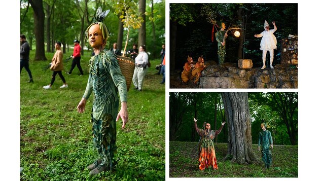 Trois images d'un parcours familial au milieu des arbres
On voit des personnages déguisés.
Arbracadabra est un parcours théâtral, ludique et engagé, où se marient arts du cirque et marionnettes. 