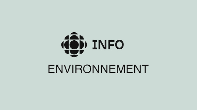 Les mots «info» et «environnement» accompagnés du logo de Radio-Canada.