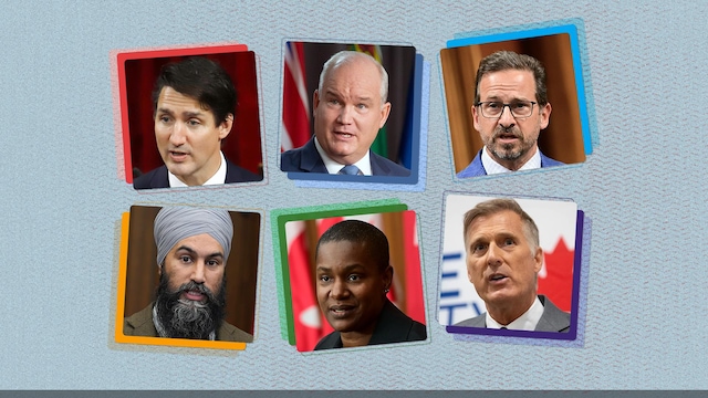 Un portrait des chefs des six principaux partis en politique fédérale.