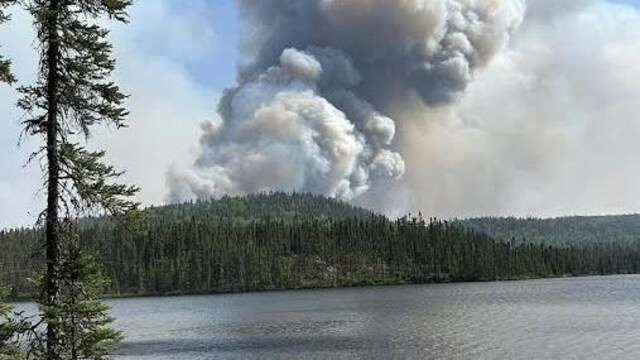 De la fumée au loin dans la forêt, derrière un lac.