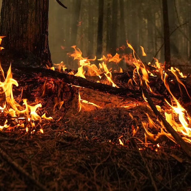 A hot spot from the Lower East Adams Lake wildfire is seen in Scotch Creek, B.C., in 2023.
