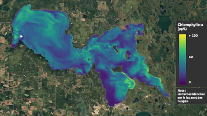 Carte numérique du lac La Biche, en Alberta.