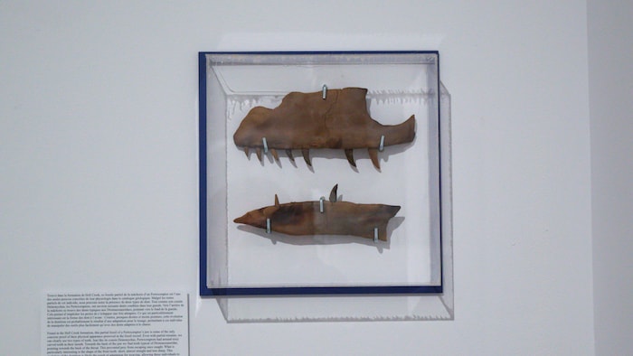 Une des facette de l'exposition