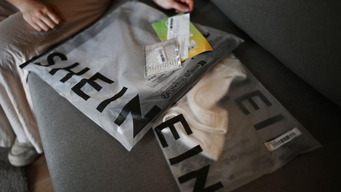 Photo de deux sacs d'une commande SHEIN.