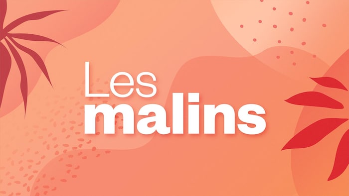 Les Malins - Estival 24