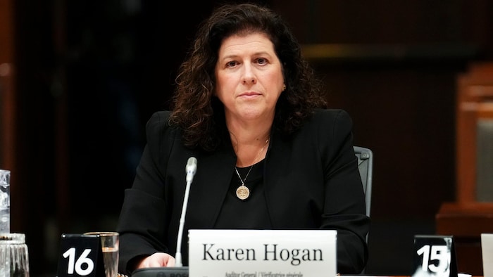 審計長霍根（Karen Hogan）。