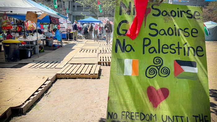 Des tentes de camping et des drapeaux palestiniens par une journée ensoleillée.