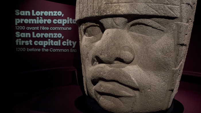 Une tête colossale caractéristique des Olmèques, réalisée en pierre.