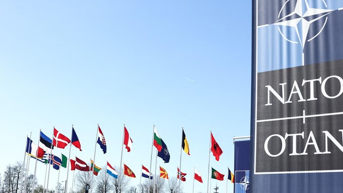 Les drapeaux nationaux des pays membres de l'OTAN flottent devant le siège de l'organisation à Bruxelles.