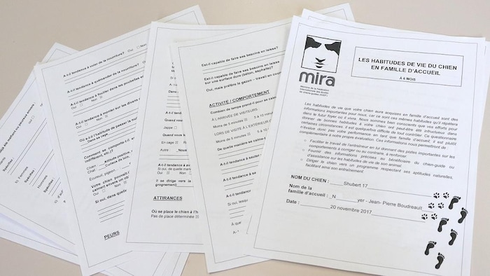 documents about the service dogs from MIRA.