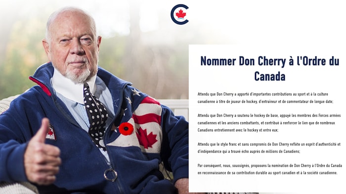 Capture d'écran de la pétition, où on voit Don Cherry assis dans un fauteuil, pouce en l'air, vêtu d'une veste qui arbore les drapeaux américain et canadien, sur laquelle est accroché un coquelicot.