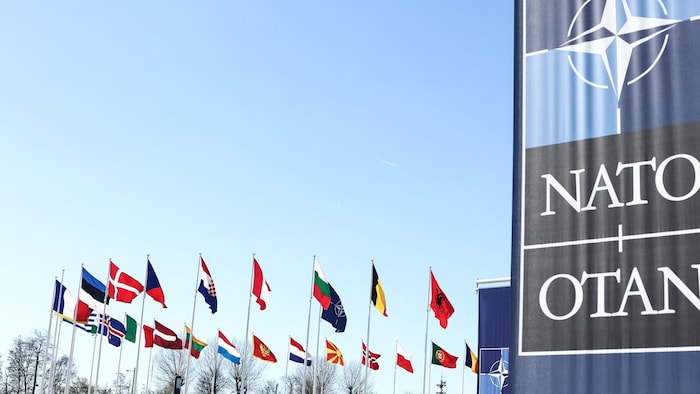 Les drapeaux des pays membres de l'OTAN flottent devant le siège de l'organisation à Bruxelles.