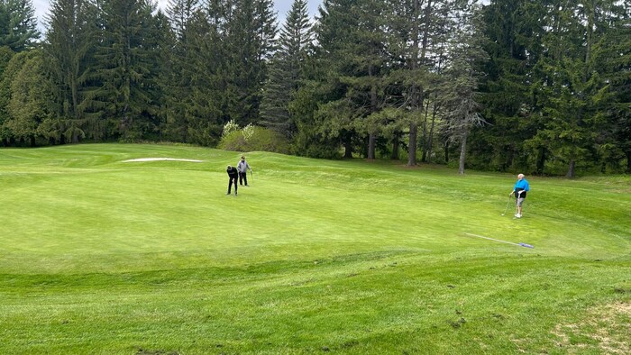 Trois golfeurs sont en train de jouer au golf. 