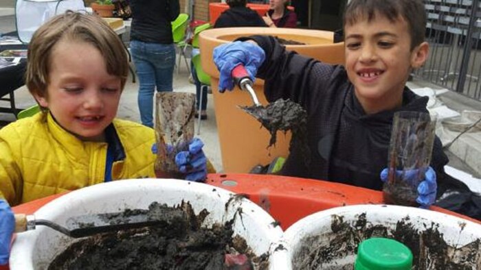 Des enfants participent aux 24 heures de science.