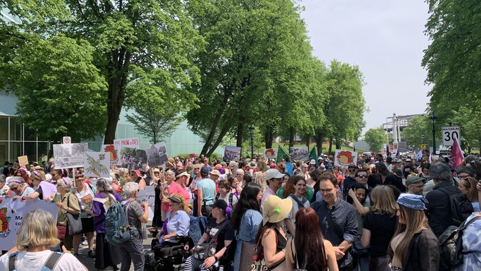 Une foule.