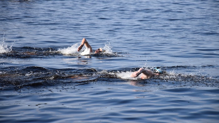 Deux hommes nagent dans le lac Saint-Jean.