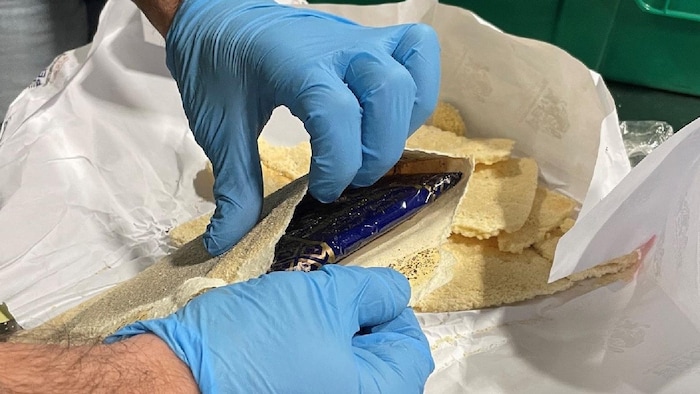 Des mains portant des gants bleus en latex ouvrent un pain plat en deux et laissent entrevoir un paquet mince bleu et or.