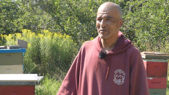 Un homme dehors, au soleil, devant des arbres. Il y a des ruches derrière lui.