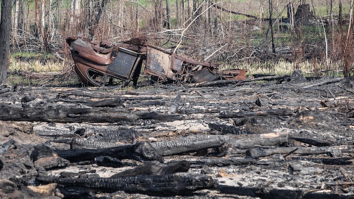 Un coche viejo volcado yace en un bosque carbonizado por un reciente incendio forestal en las afueras de Drayton Valley, Alberta, el miércoles 17 de mayo de 2023.