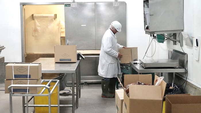 Un travailleur à l'abattoir du Groupe ADEL à Luceville.