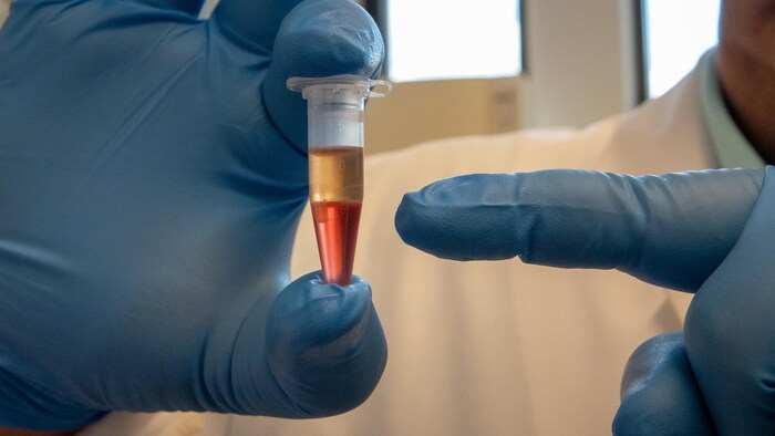 Une fiole contenant deux couleurs de liquide bien séparé.