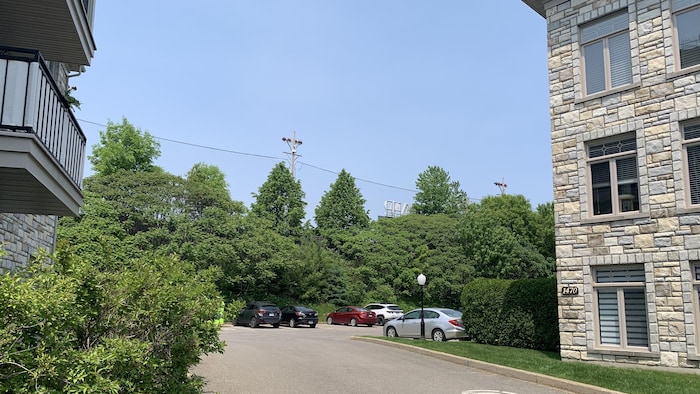 Bon nombre de condos sont situés à proximité du terrain de football de l’Académie Saint-Louis.