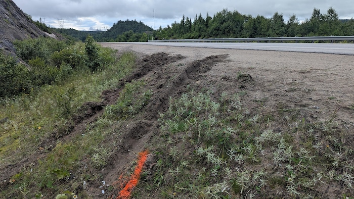 Des traces de véhicule déviant de la route s'enfoncent dans un fossé.