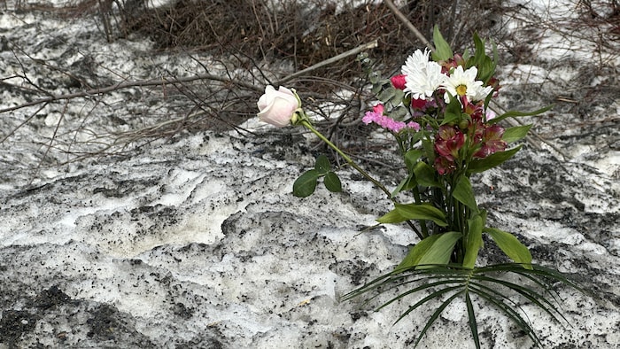 Lundi matin, des fleurs avaient été déposées sur les lieux de l'accident.