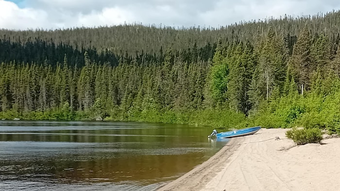 The Territoire of the Officry of Lake Watshishou. "and time stopped": story airmedic