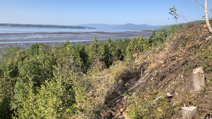 Une falaise et le fleuve Saint-Laurent.