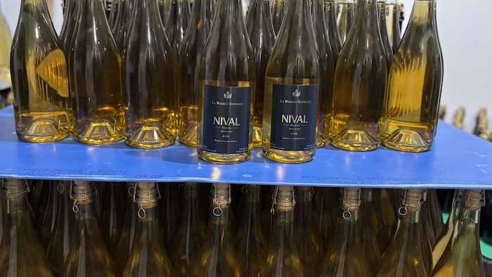 Des bouteille de Nival.