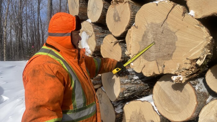 Un acériculteur aux côtés de billots de bois d'érable.