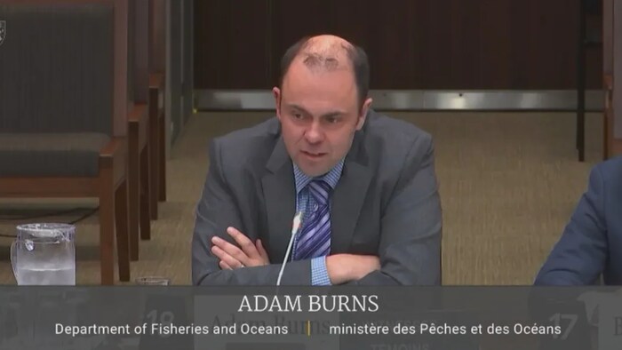 Adam Burns lors de son témoignage au comité parlementaire.