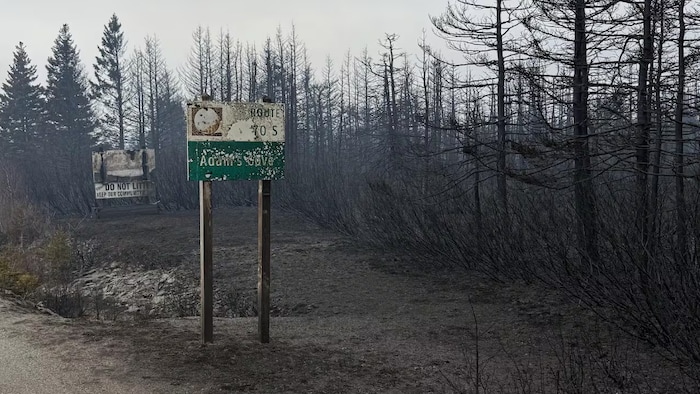 Une forêt qui a été ravagée par un feu et une pancarte annonçant la ville de Adam's Cove.  