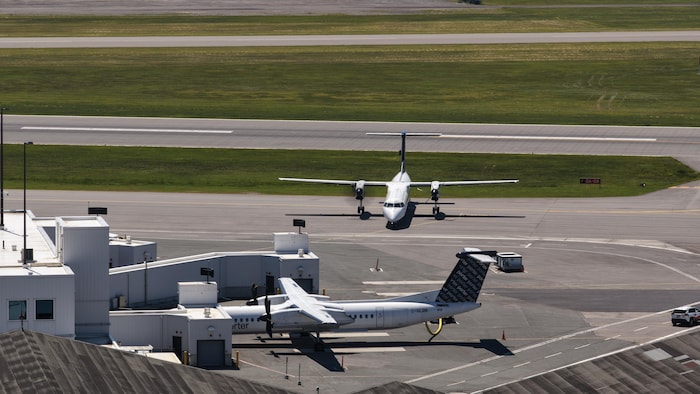 Des avions à l'aéroport Billy Bishop, le 8 juin 2026.