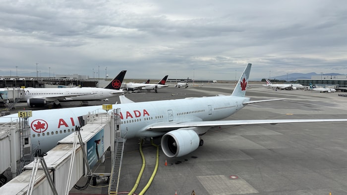 Des avions d'Air Canada sur un tarmac.